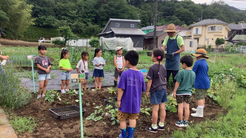 同窓会～小学生・じゃがいも掘り～