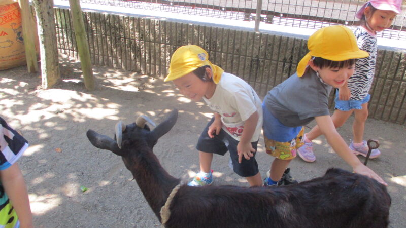移動動物園がやってきた