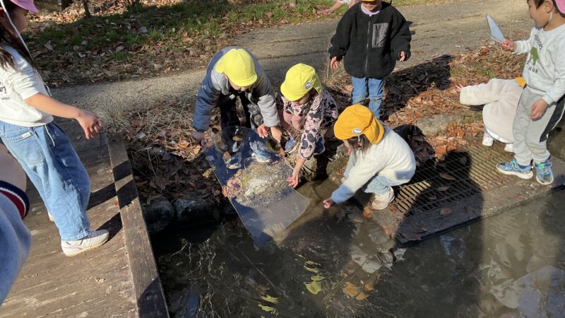 氷みーつけた！