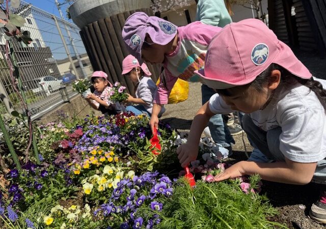 花壇に花を植えたよ