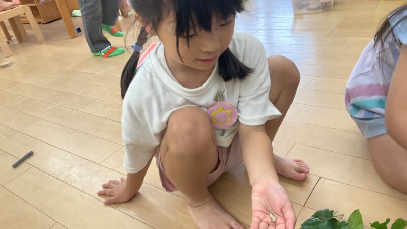 蚕のお世話を通して
