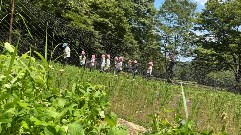 第4回稲作「田んぼの手入れ」